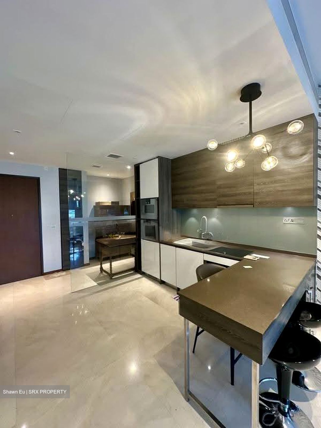 The Scotts Tower (D9), Condominium #612113571